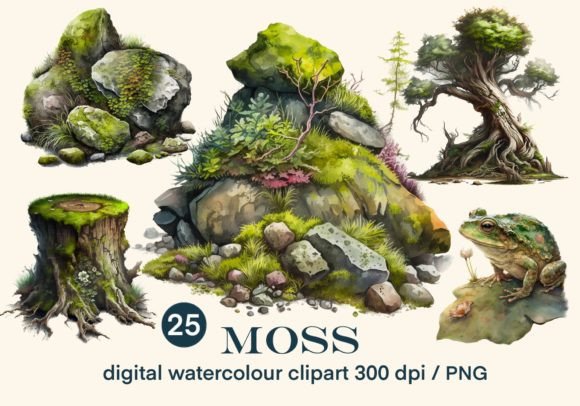 Download Moss, Moss-covered Stones 25 PNG Clipart - Stone Collection
