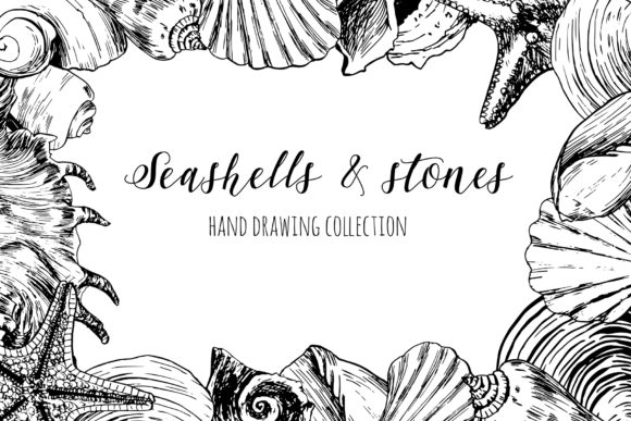 Download Seashells &amp; Stones Set - Stone Collection